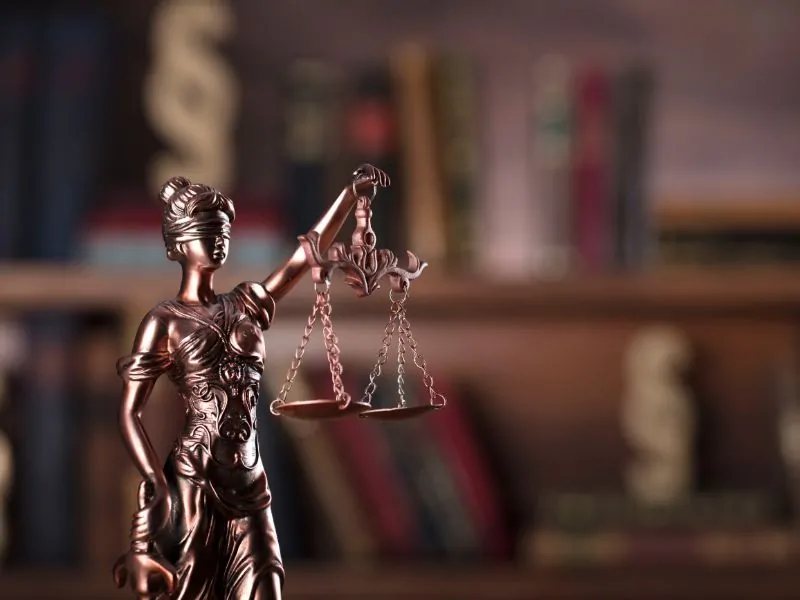 advogado migratório